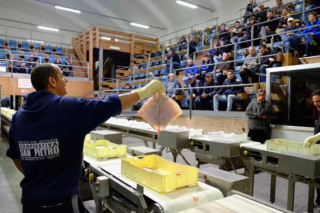 Asta del Pesce Mercato Ittico del Porto di San Benedetto del Tronto