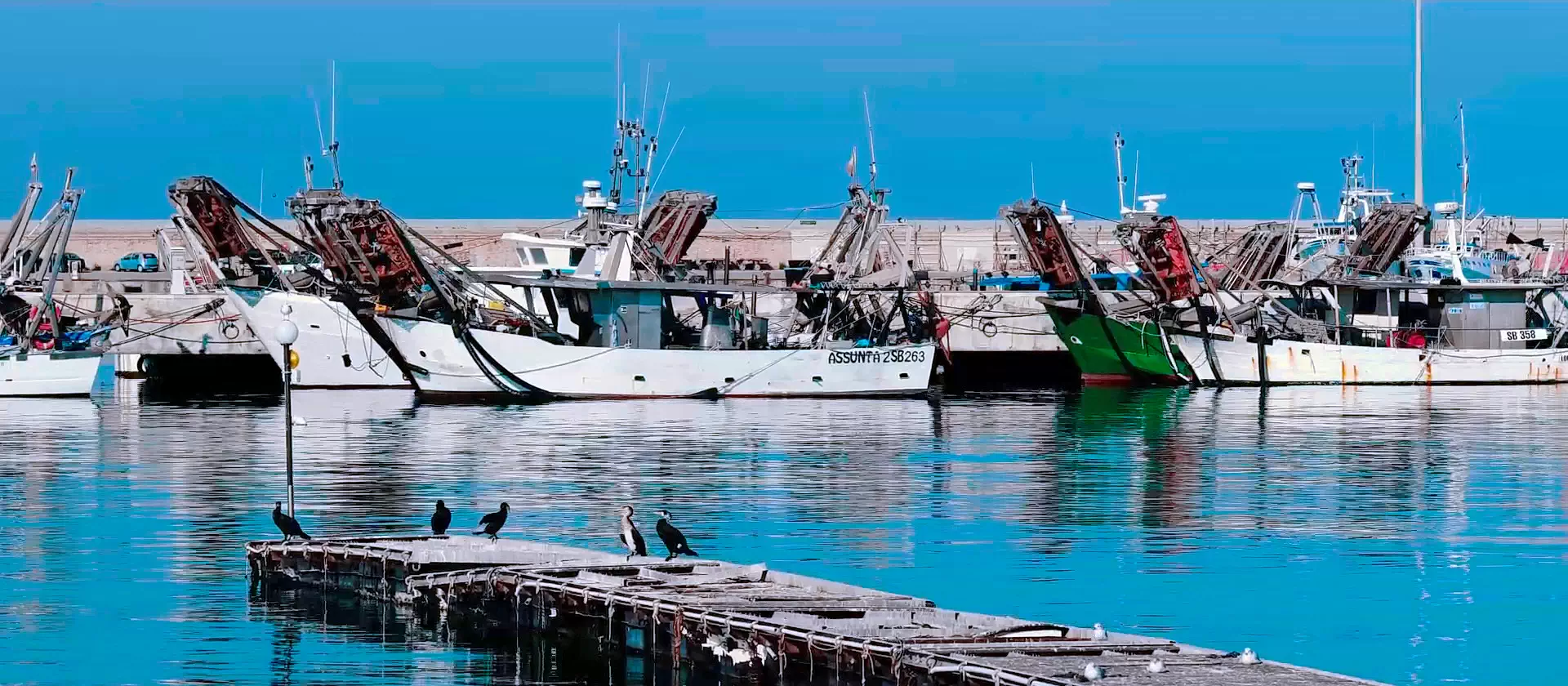 Pescherecci al Porto di San Benedetto del Tronto