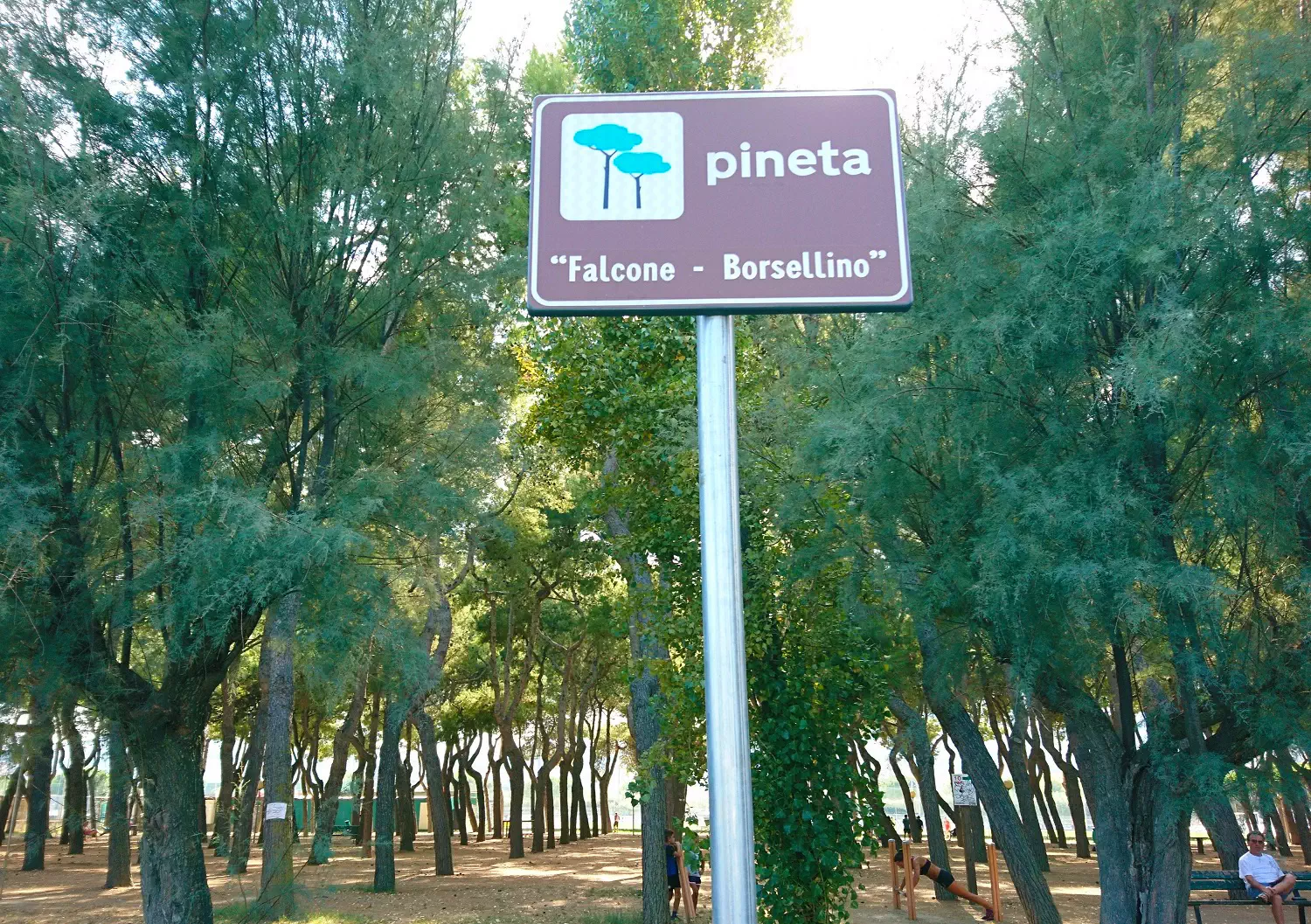 La Pineta Falcone - Borsellino sul Lungomare di San Benedetto del Tronto